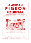 Magazine Cover